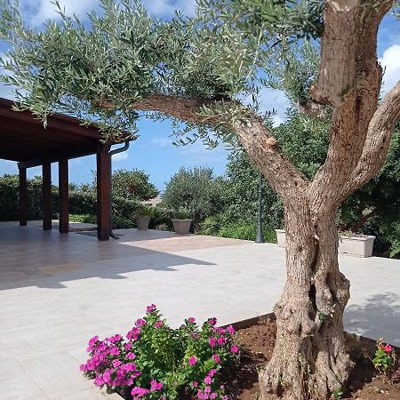 Villa Dei Colori Custonaci Extérieur photo